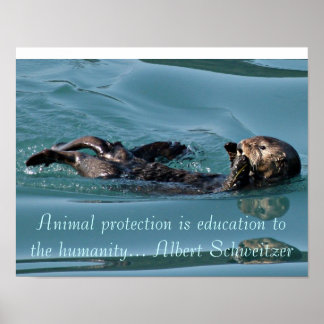 Sea otter Reflection with Famous quote poster