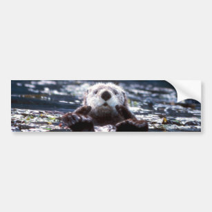 Sea Otter Swimming Bumper Sticker