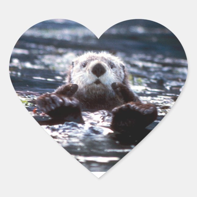 Sea Otter Swimming Heart Sticker (Front)