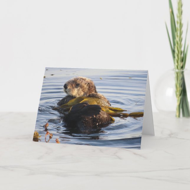 Sea Otter Wrapped in Kelp Card (Front)