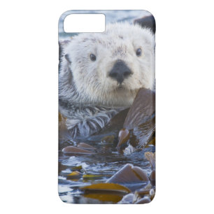 Sea otter wrapped in kelp iPhone 8 plus/7 plus case