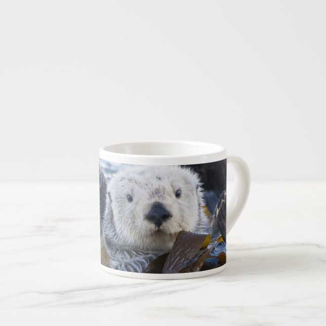 Sea otter wrapped in kelp espresso cup (Front Right)