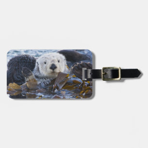 Sea otter wrapped in kelp luggage tag