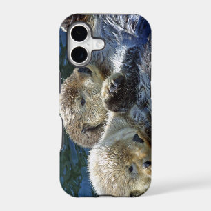 Sea-otters