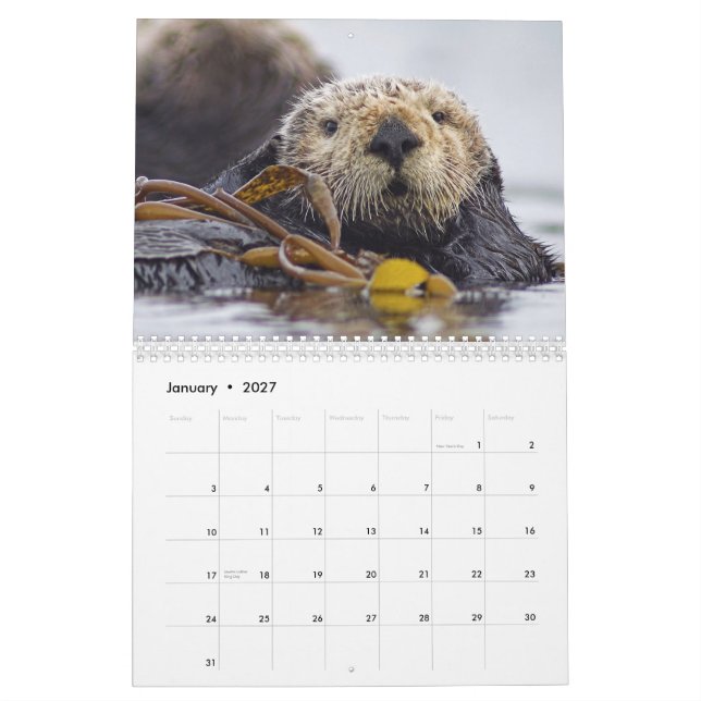 Sea Otters and Seals 2015 Wall Calendar - Wildlife (Jan 2027)