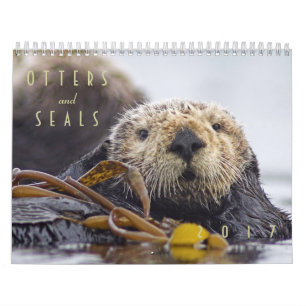 Sea Otters and Seals 2017 Wall Calendar - Wildlife