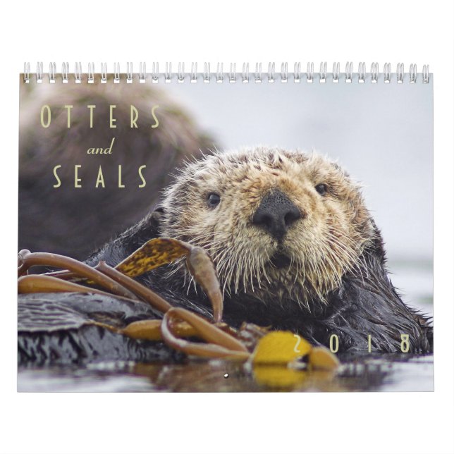 Sea Otters and Seals 2018 Wall Calendar - Wildlife (Cover)