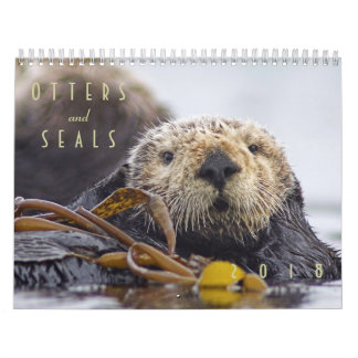 Sea Otters and Seals 2018 Wall Calendar - Wildlife