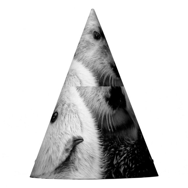 Sea Otters: Black White Pair. Party Hat (Front)