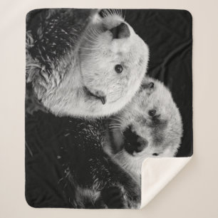 Sea Otters: Black White Pair. Sherpa Blanket