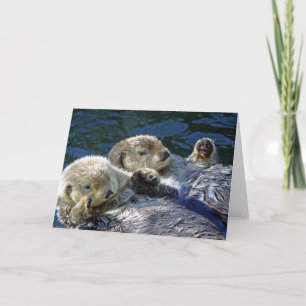 Sea-otters card