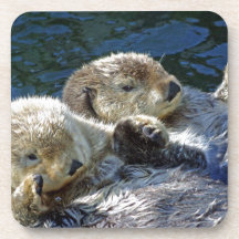 Sea-otters
