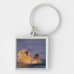 Sea Otters, Enhydra lutris 2 Key Ring