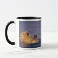 Sea Otters, Enhydra lutris 2