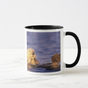 Sea Otters, Enhydra lutris 4 Mug