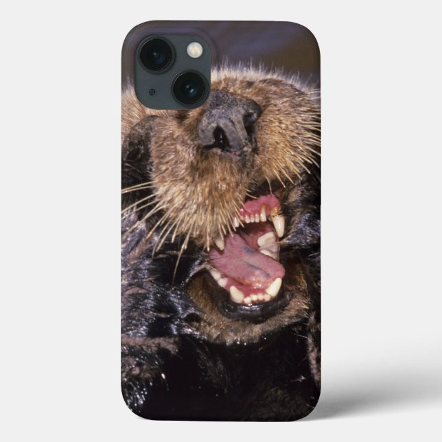 Sea Otters, Enhydra lutris 6 Case-Mate iPhone Case (Back)