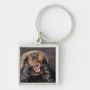 Sea Otters, Enhydra lutris 6 Key Ring