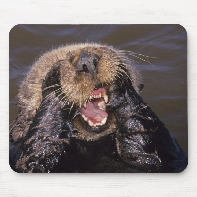 Sea Otters, Enhydra lutris 6 Mouse Mat (Front)