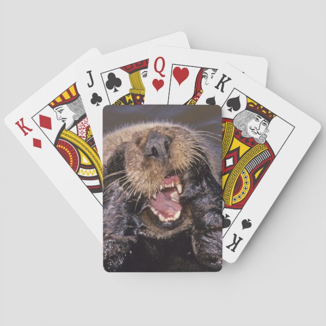 Sea Otters, Enhydra lutris 6 Playing Cards (Back)