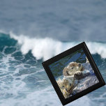 Sea-otters Gift Box<br><div class="desc">Photo of sea-otters by New Forest Pics</div>