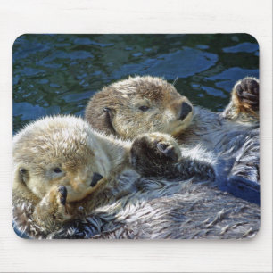 Sea-otters Mouse Mat