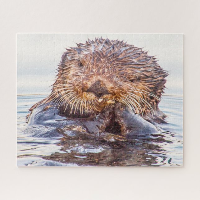 Sea Otters our seas Jigsaw Puzzle (Horizontal)