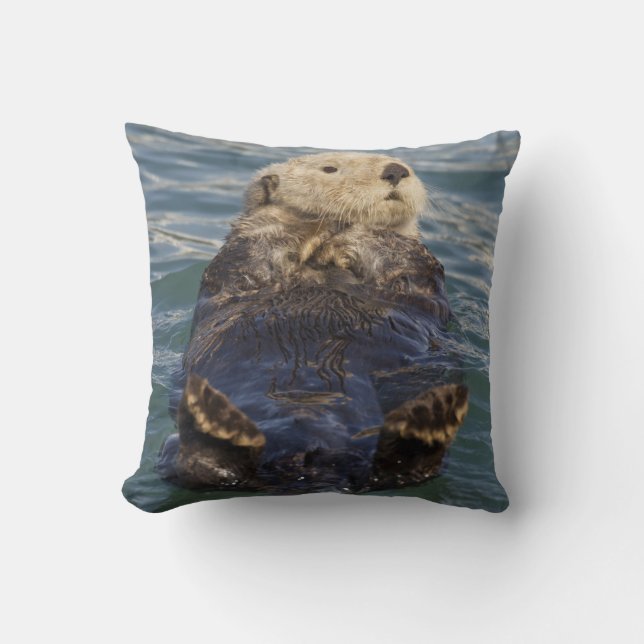 Sea otters play on icebergs at Surprise Inlet Cushion (Front)