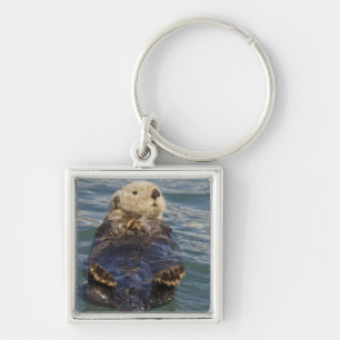Sea otters play on icebergs at Surprise Inlet Key Ring