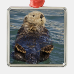 Sea otters play on icebergs at Surprise Inlet Metal Tree Decoration
