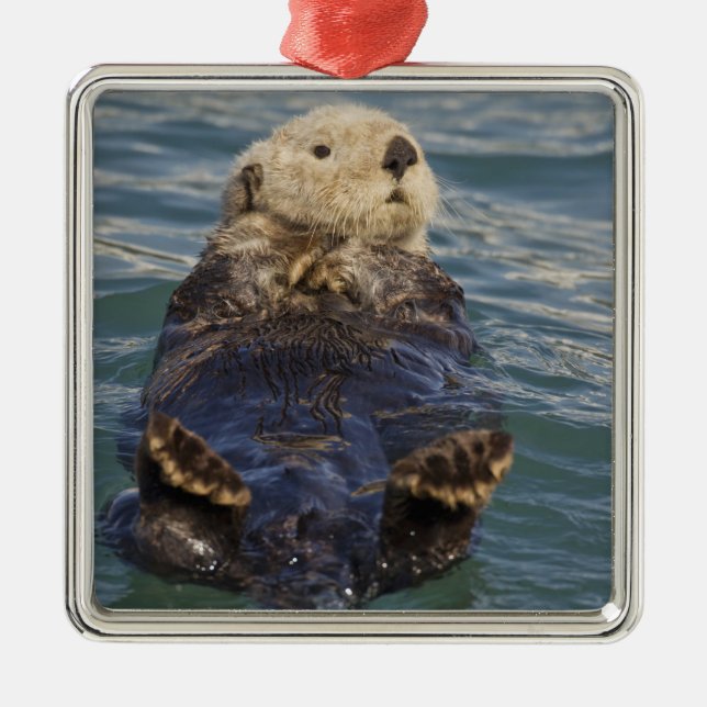 Sea otters play on icebergs at Surprise Inlet Metal Tree Decoration (Front)