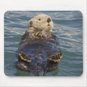 Sea otters play on icebergs at Surprise Inlet Mouse Mat