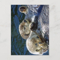 Sea-otters