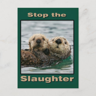 Sea Otters - Stop the Slaughter Postcard