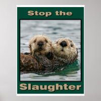 Sea Otters - Stop the Slaughter