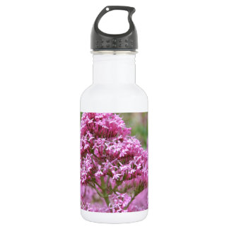 Sea Pink 532 Ml Water Bottle