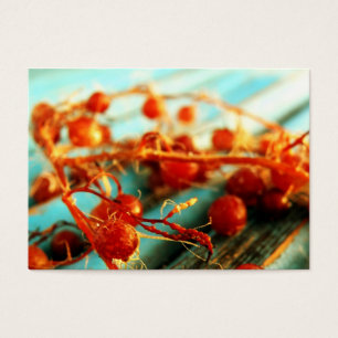 Sea plants