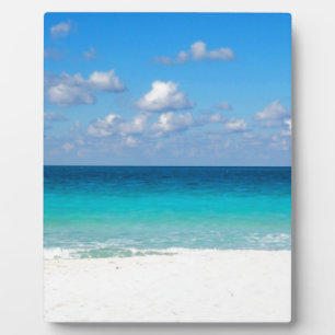 sea plaque