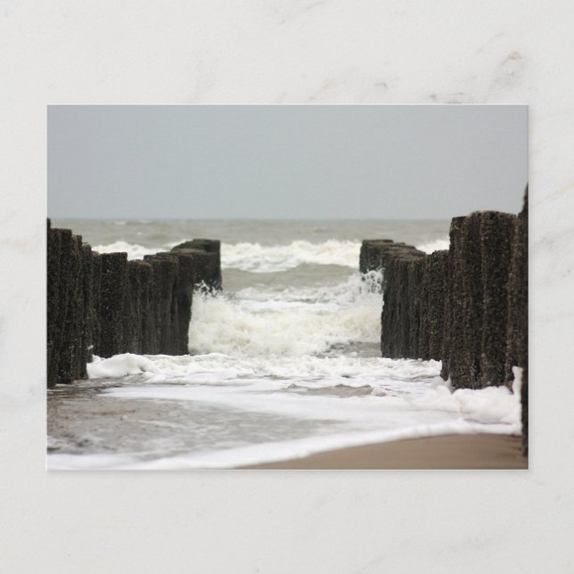 Sea Postcard (Front)