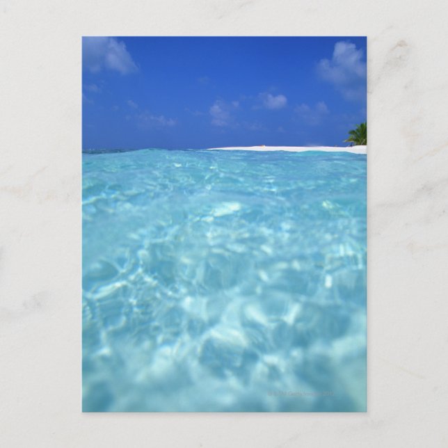 Sea Postcard (Front)