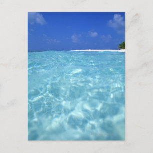 Sea Postcard
