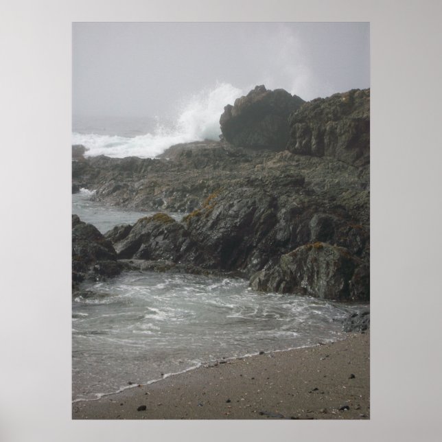 Sea Ranch Beach Poster (Front)
