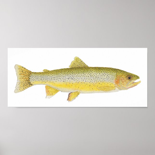 Sea Run Coastal Cutthroat Poster (Front)