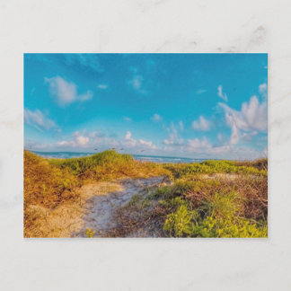 Sea Scape Postcard
