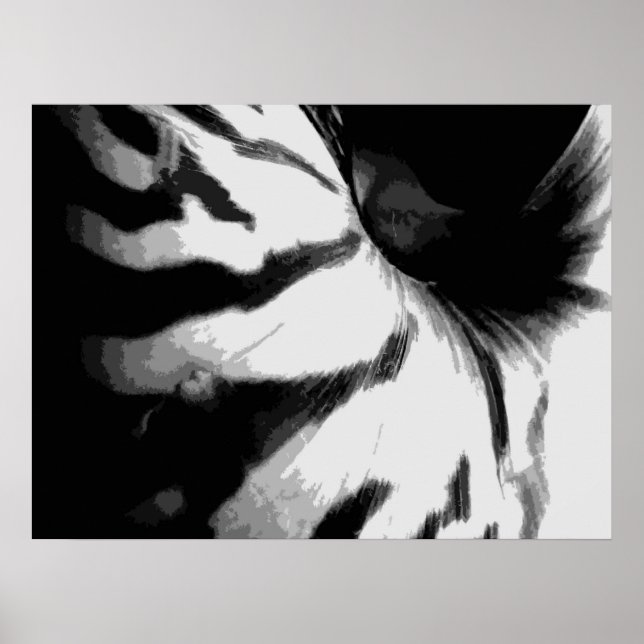 SEA-SHELL 2 POSTER (Front)