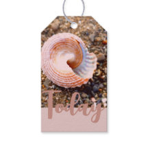 SEA SHELL BEACH PHOTO IMAGE ON PALE SALMON PINK