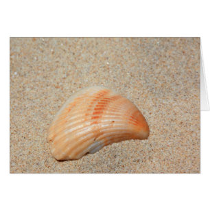 Sea Shell Card