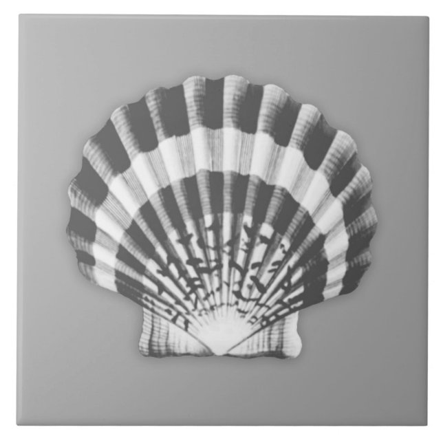 Sea Shell - charcoal grey and white Tile (Front)