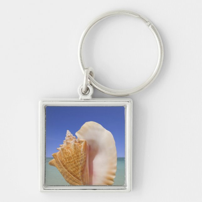 Sea Shell Close Up Key Ring (Front)