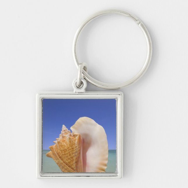 Sea Shell Close Up Key Ring (Front)