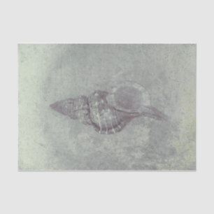 Sea Shell Grey Vintage Ocean Beach Texture Tissue Paper